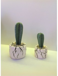 Decorative Ceramic "Cactus"